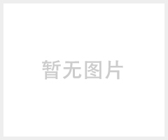 Z45-24W户外型电动装置