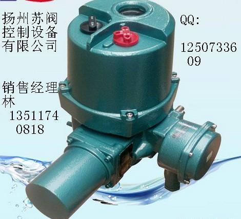 扬州机电一体化开关型电动执行器DQW60-WK2
