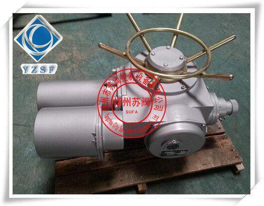 DZW20-24-A00-WK2一体化电动装置
